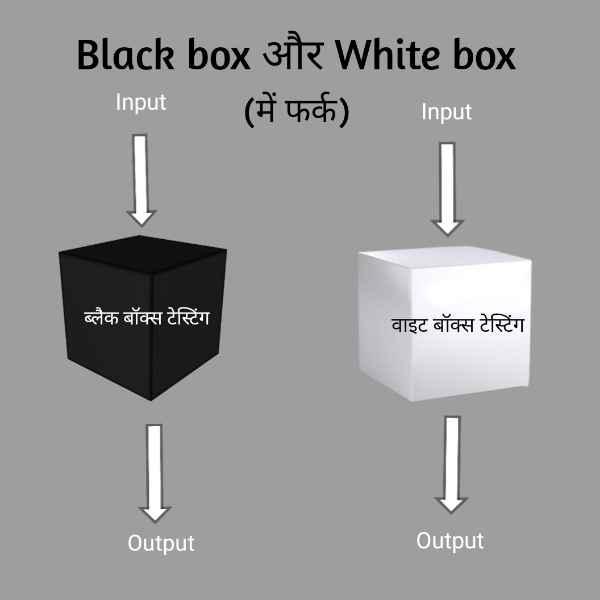 Read more about the article difference between black box and white box testing in hindi